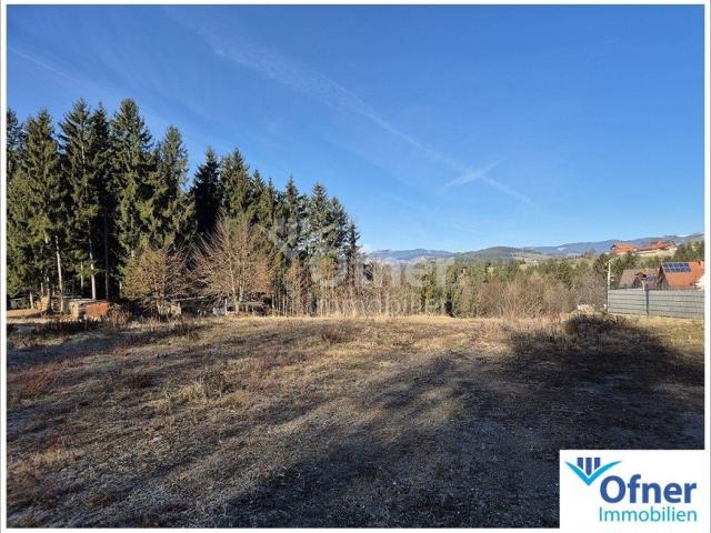 Immobilie kaufen in Oberdorf, Bärnbach