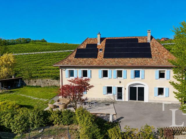 Reihenfamilienhaus kaufen in Aubonne, Waadt