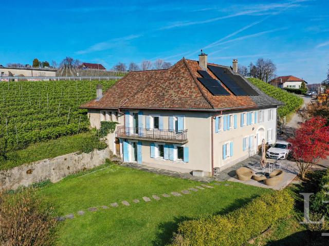 Haus kaufen in Lavigny, Waadt