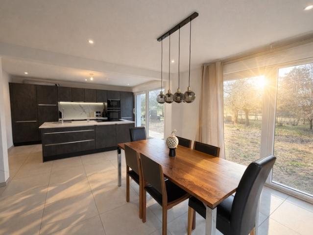 Maison vente à Mulhouse, Hésingue