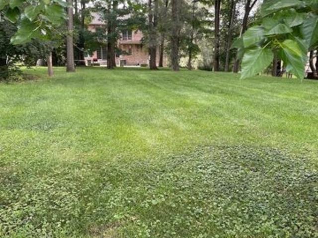 Land for sale in Willow Springs Land for sale in Willow Springs