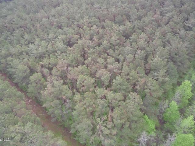 Land for sale in Choctaw, Mississippi