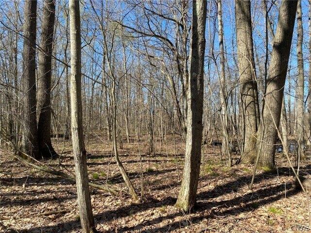 Land for sale in De Peyster, New York
