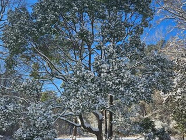 Property for sale in Defuniak Springs, Florida