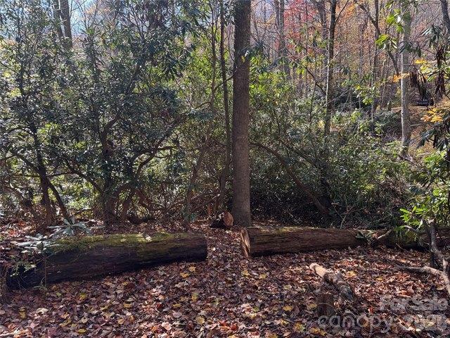 Land for sale in Watauga, North Carolina