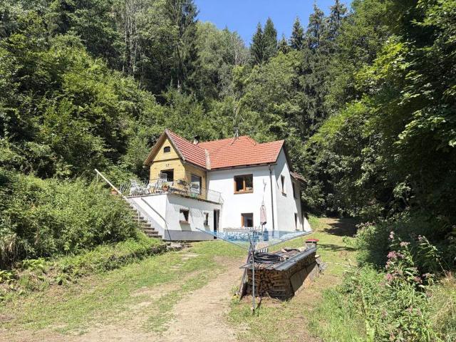Haus kaufen in Edling, Spittal an der Drau