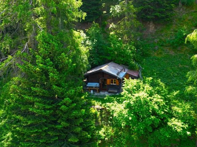 Zweifamilienhaus kaufen in Ergisch, Wallis