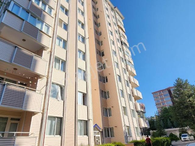Kütahya Merkez, Kütahya içerisinde kiralık mülk