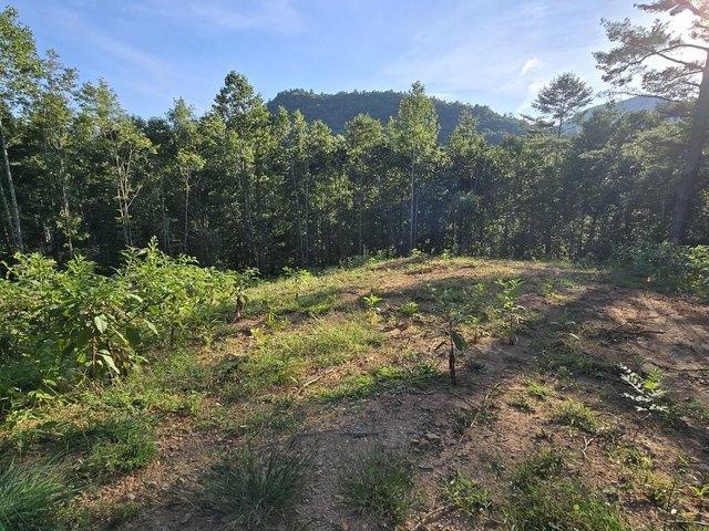 Land for sale in Hiawassee, Georgia