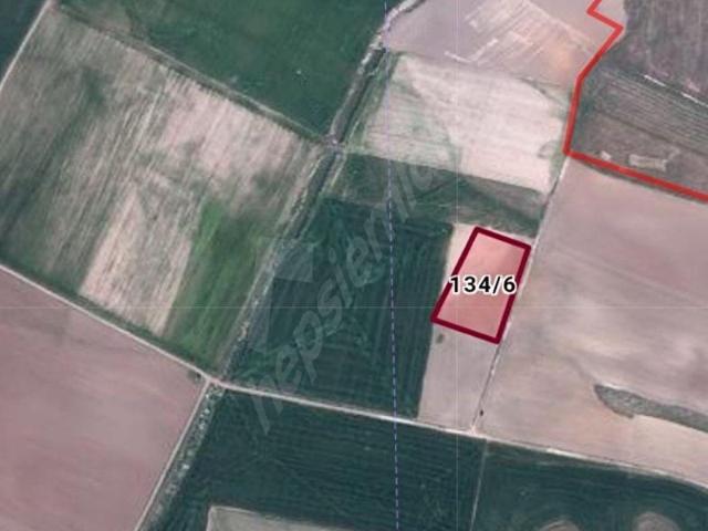 Güllüce, Mahmudiye içerisinde satılık Arsa