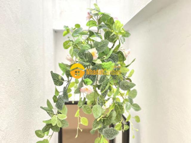 Nhà mặt phố bán