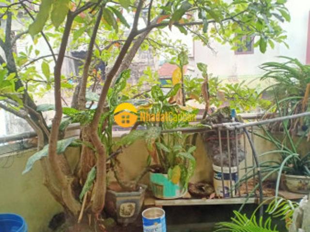 Nhà mặt phố bán