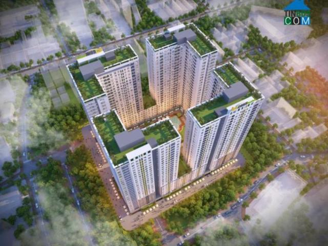 Căn hộ cho thuê tại Gia Lai