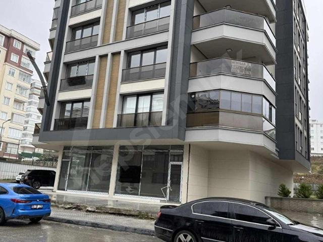 Atakum, Samsun içerisinde satılık mülk