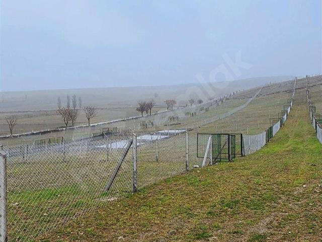 Gölbaşi, Ankara içerisinde satılık Arsa
