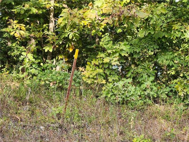Land for sale in Stover, Missouri