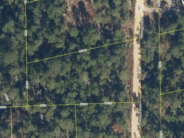 Land for sale in Pomona Park