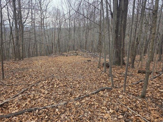Land for sale in Virginia