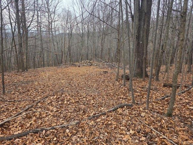 Land for sale in Virginia
