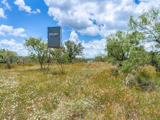 Farm for sale in Mason, Texas