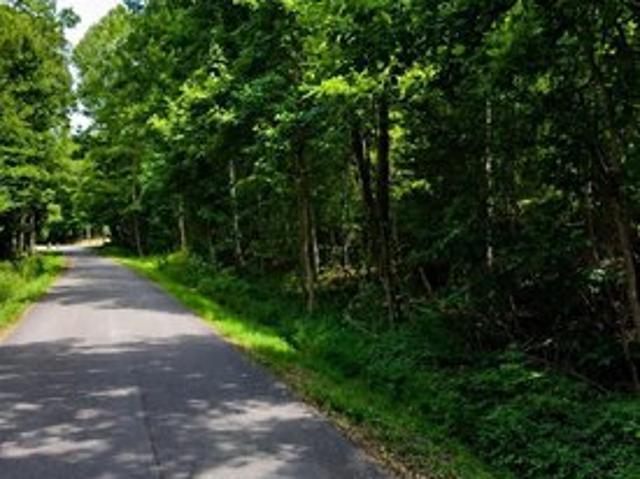 Land for sale in Rainbow City, Etowah County