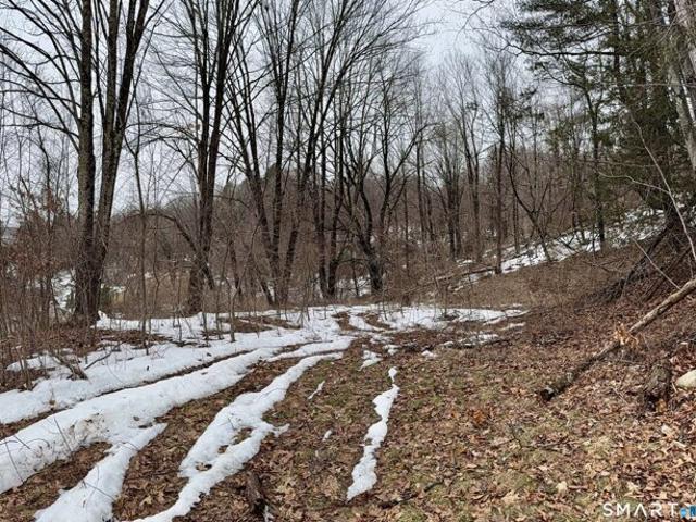 Land for sale in Thomaston, Connecticut