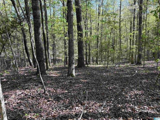 Land for sale in Centreville, Alabama