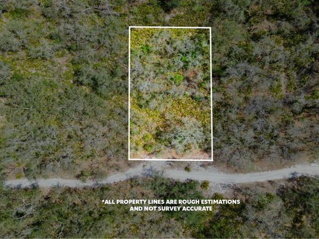 Land for sale in Suwannee, Florida