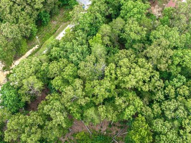 Land for sale in Valley Head, Alabama
