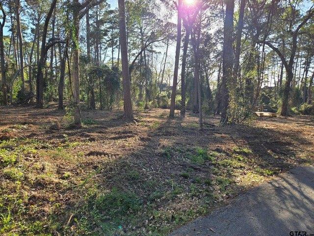 Land for sale in Smith, Texas
