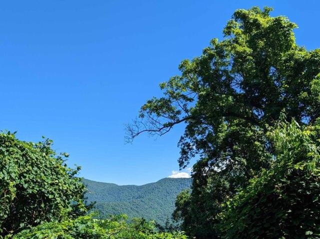 Land for sale in Hayesville