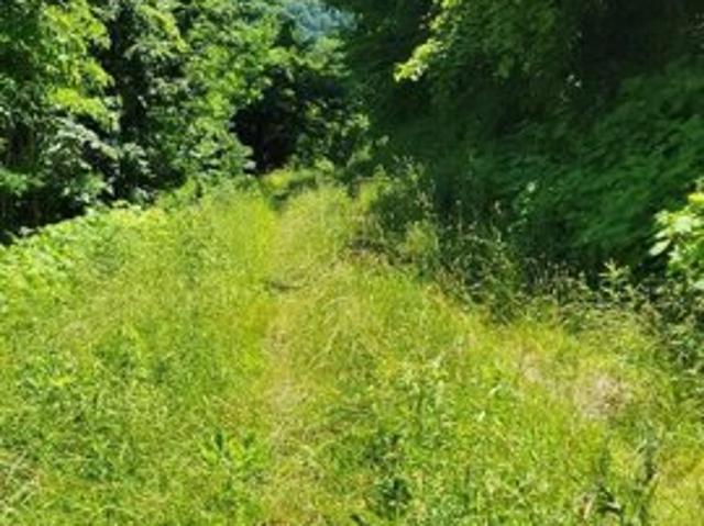 Land for sale in Hayesville