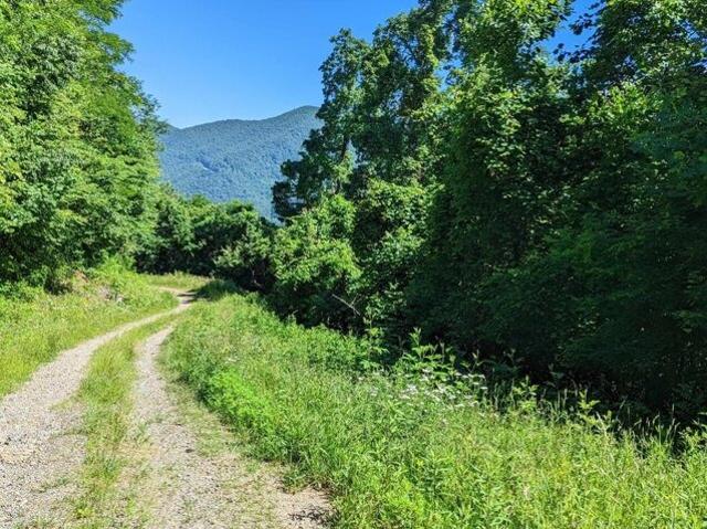 Land for sale in Hayesville