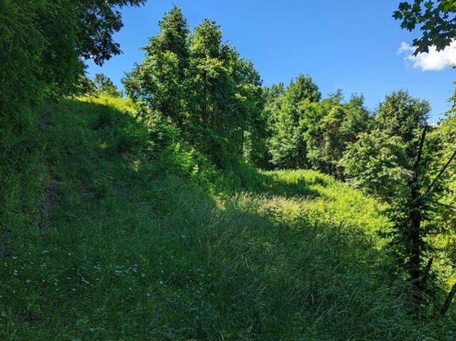 Land for sale in Hayesville