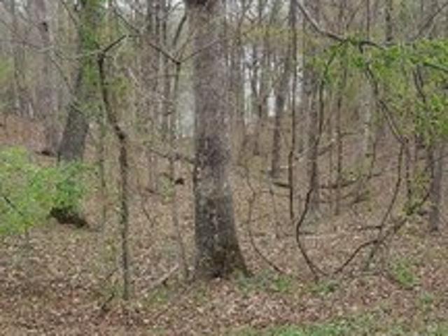 Land for sale in Dubois, Indiana