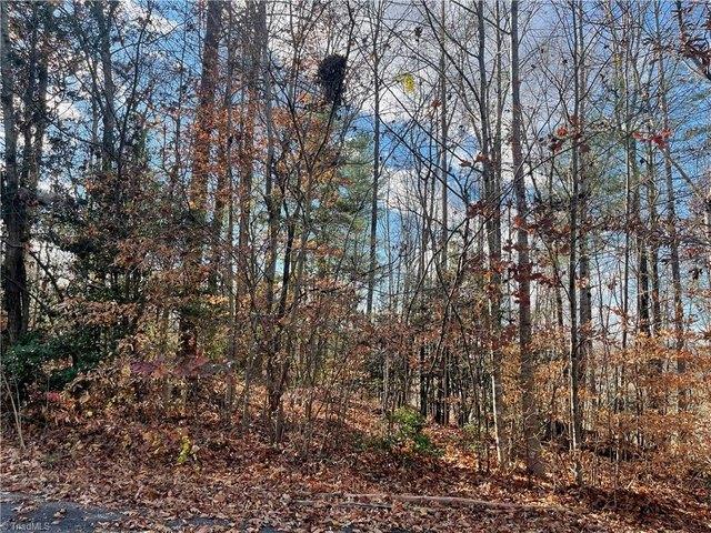 Land for sale in Wilkesboro, North Carolina
