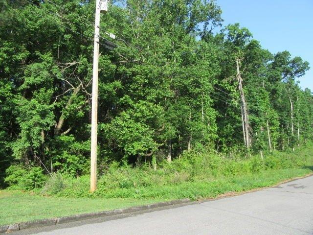 Land for sale in Ringgold, Georgia