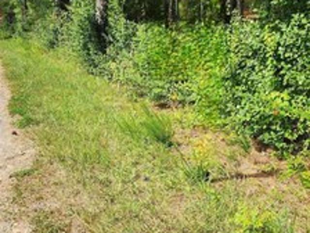 Land for sale in Blount, Alabama
