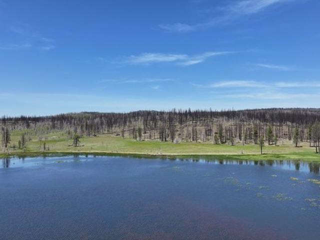 Land for sale in Oregonia