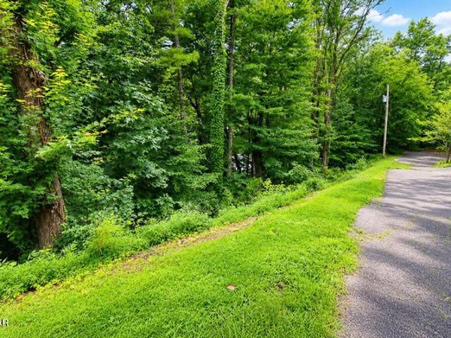 Land for sale in Tennessee