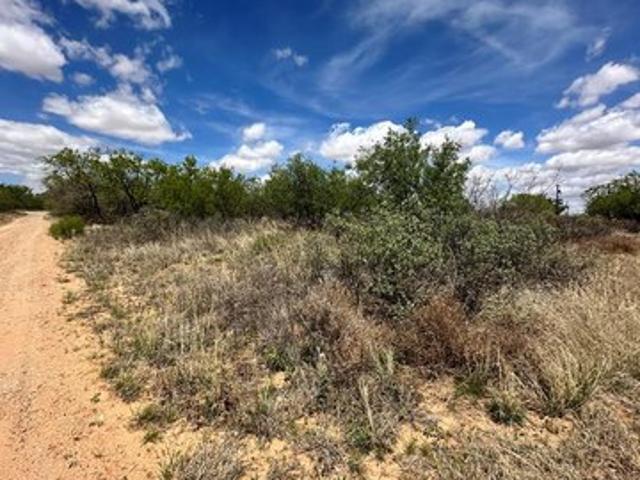 Land for sale in Colorado City, Texas