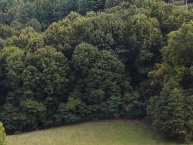 Land for sale in Tell City, Indiana