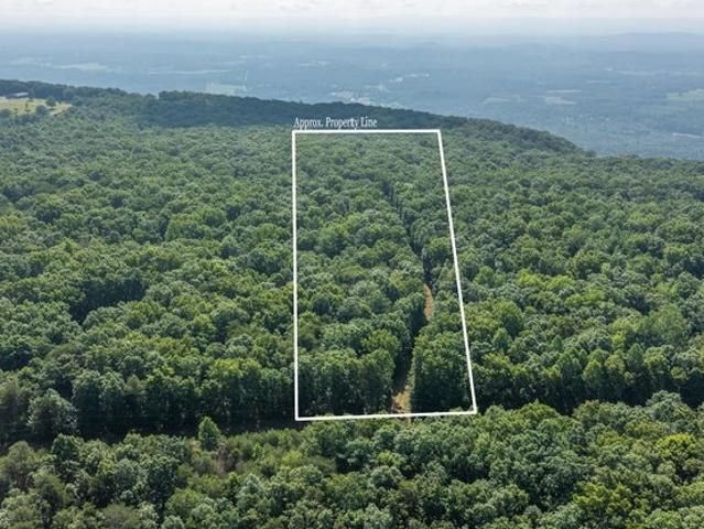 Land for sale in Menlo, Georgia