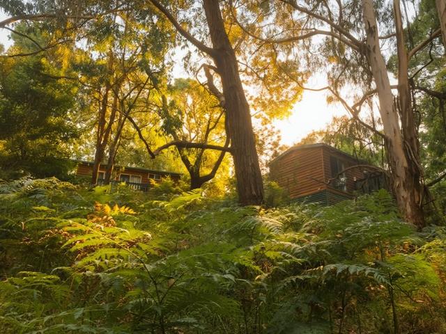 Cottage for sale in Deans Marsh, Victoria
