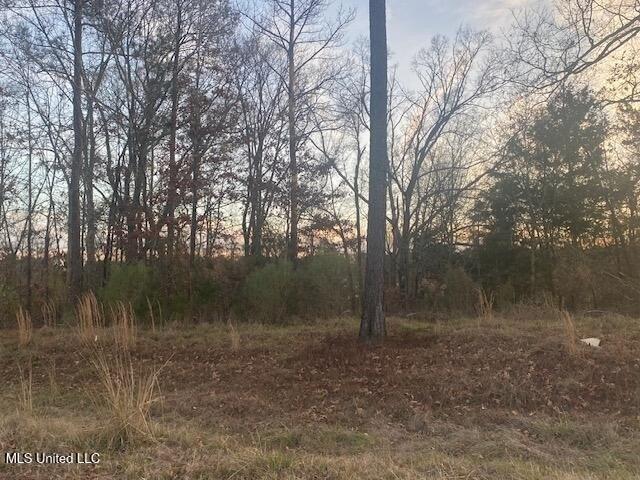 Land for sale in Ridgeland, Mississippi