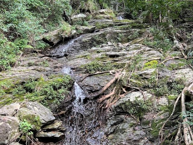 Property for sale in Toombul, Queensland