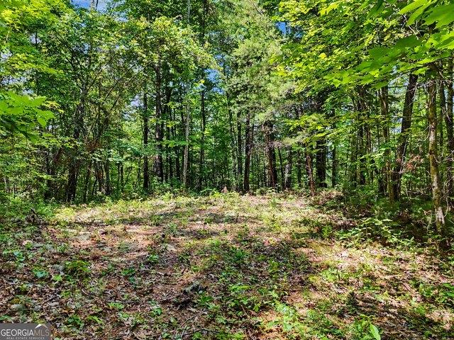 Land for sale in Tiger, Georgia