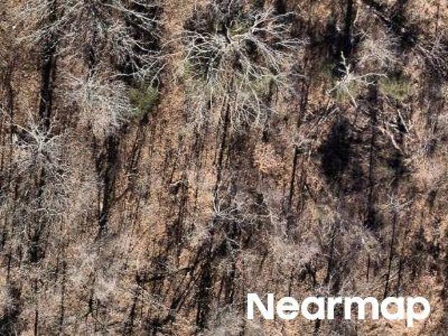 Land for sale in Ark
