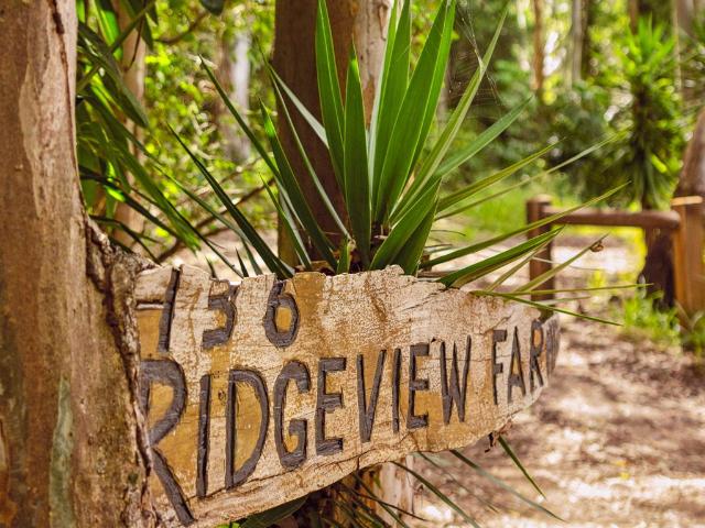Cottage for sale in Kings Creek, Queensland