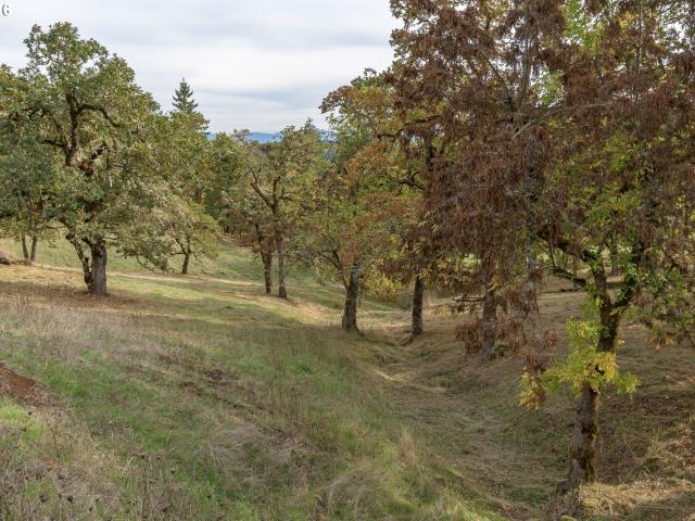 Land for sale in Oregonia
